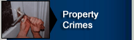 Property Crimes
